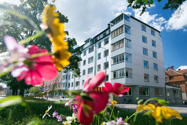 Drottninggatan 35 — fasad med blommor